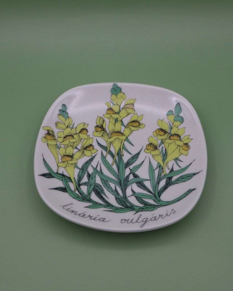 arabia-botanica-kannusruoho-seinalautanen