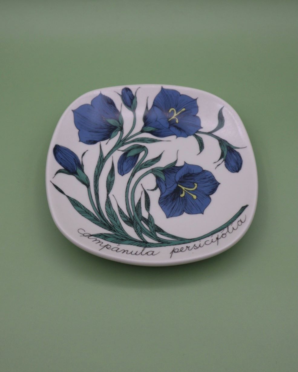 arabia-botanica-kurjenkello-seinalautanen