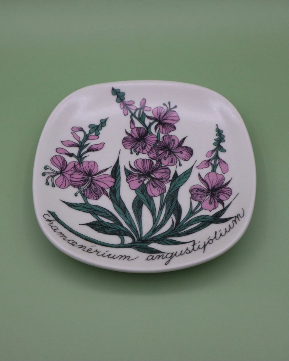 arabia-botanica-maitohorsma-seinalautanen