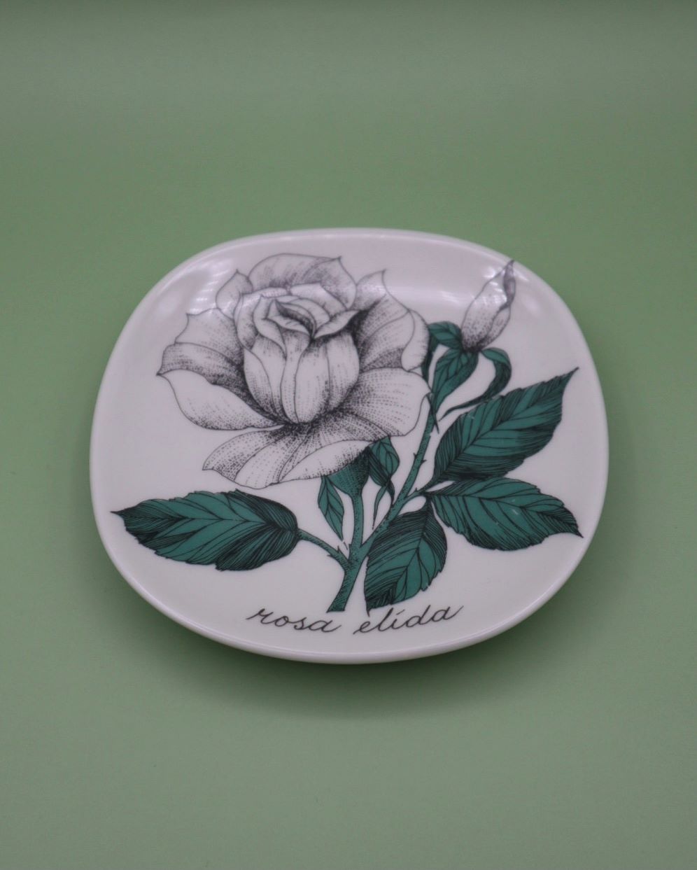 arabia-rosa-elida-seinalautanen