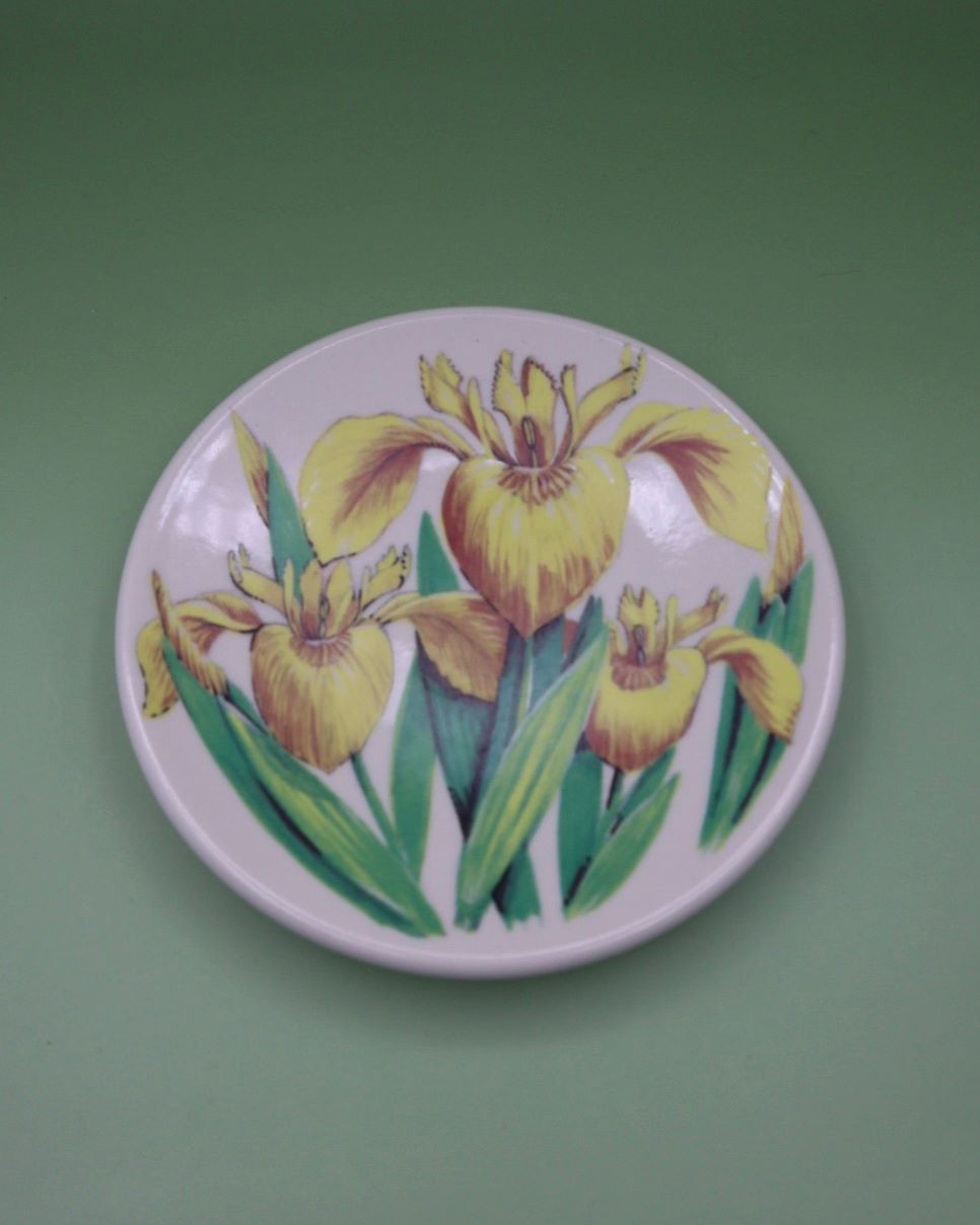 kermansavi-kurjenmiekka-seinalautanen