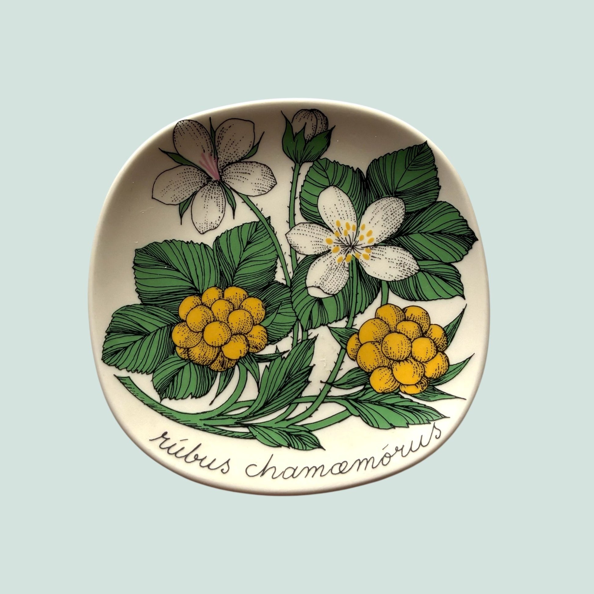 Arabia-botanica-lakka-seinalautanen