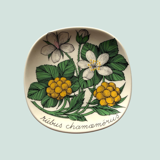 Arabia-botanica-lakka-seinalautanen