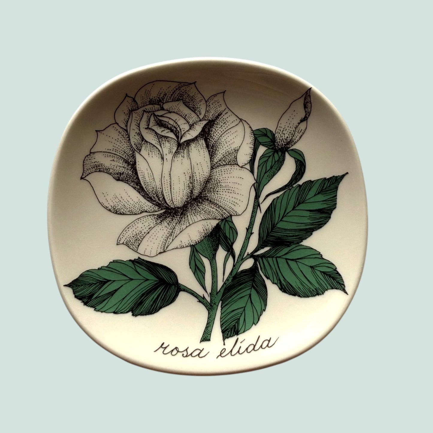Arabia-rosa-elida-seinalautanen