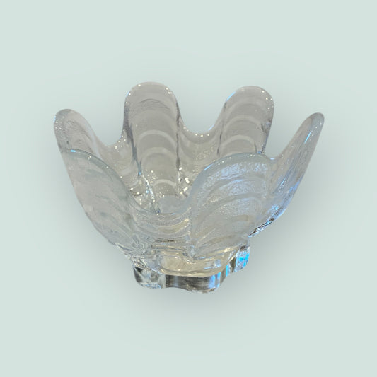 koralli-tuikku-kirkas